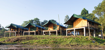 Maguri Birding Camp